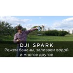 Квадрокоптер DJI Spark