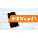 Ark Wizard 1