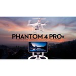 Квадрокоптер DJI Phantom 4 PRO + дополнительный аккумулятор