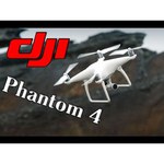 Квадрокоптер DJI Phantom 4 + 2 дополнительных аккумулятора + автомобильная зарядка