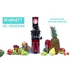 Scarlett SC-JE50S44 обзоры
