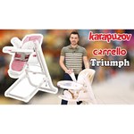 Стульчик-шезлонг-качели CARRELLO Triumph
