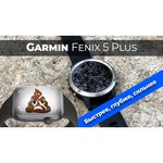 Часы Garmin Fenix 5 Plus Sapphire