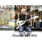 Edwards E-FV-85D