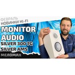 Акустическая система Monitor Audio Gold 5G 300
