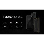Смартфон Blackview BV5500