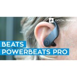 Наушники Beats Powerbeats Pro