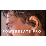 Наушники Beats Powerbeats Pro