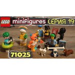 Конструктор LEGO Collectable Minifigures 71025 Серия 19