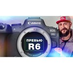 Фотоаппарат Canon EOS R6 Body + Mount Adapter EF-EOS R