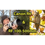 Фотоаппарат Canon EOS R6 Body + Mount Adapter EF-EOS R