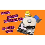 Жесткий диск Seagate SkyHawk 4 ТБ ST4000VX013